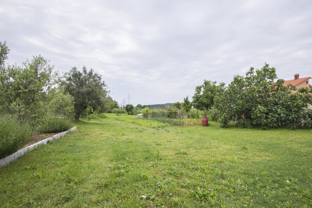 Pula Istria Apartments Eksteriør bilde