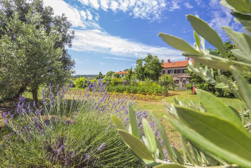 Pula Istria Apartments Eksteriør bilde